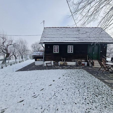 Holiday Home Hizica V Plavem Trnacu Gornja Stubica Ngoại thất bức ảnh