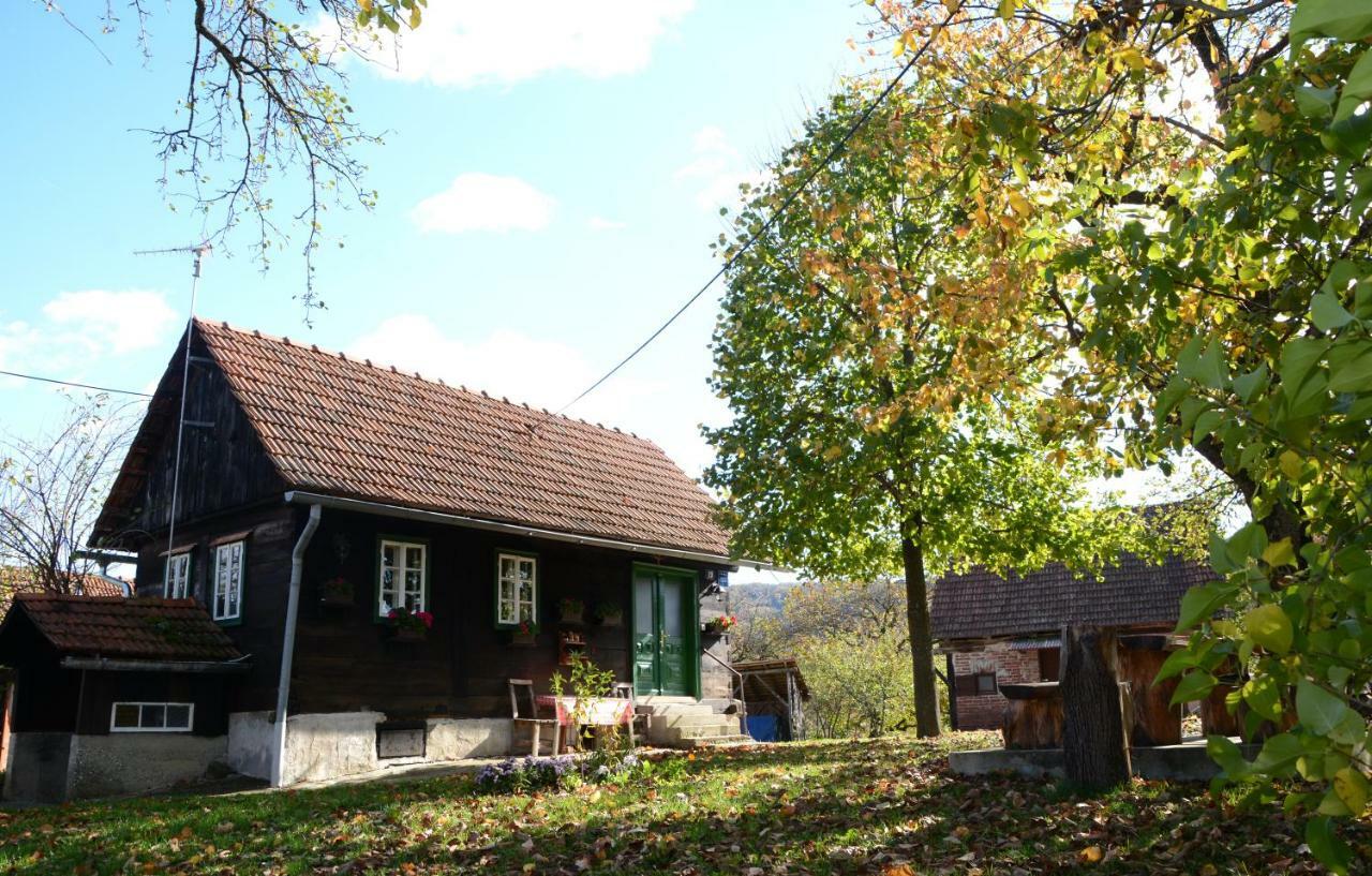 Holiday Home Hizica V Plavem Trnacu Gornja Stubica Ngoại thất bức ảnh